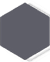 Example_Blank